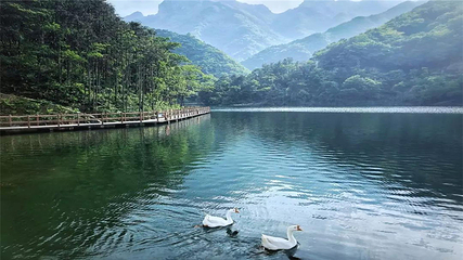 金刚台(西河)生态旅游区第 24 张图片