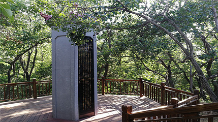 盘锦森林公园第 95 张图片