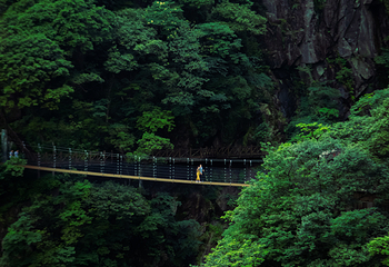 萍乡武功山风景区第 141 张图片