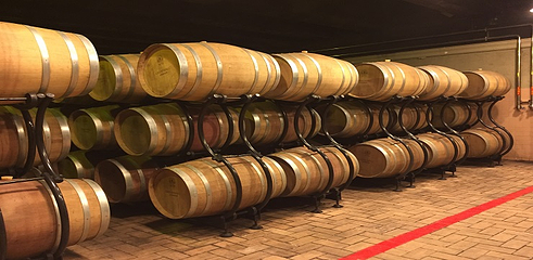 中国长城葡萄酒工业旅游区第 12 张图片