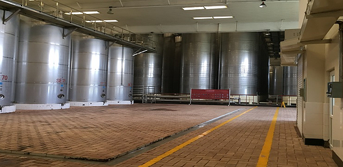 中国长城葡萄酒工业旅游区第 6 张图片