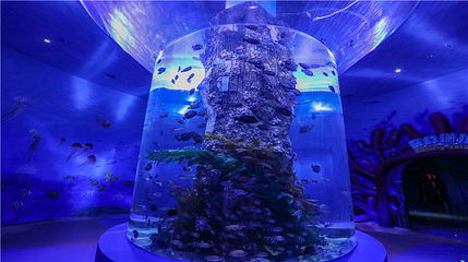 西宁新华联童梦乐园综合旅游度假区第 123 张图片