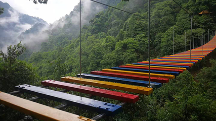 三清山逍遥谷第 42 张图片