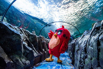 悉尼水族馆第 4 张图片