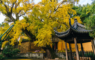 惠山古镇·寄畅园第 54 张图片