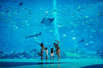 三亚亚特兰蒂斯失落的空间水族馆第 68 张图片