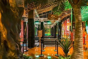 佛罗伦萨小镇jungle奇幻丛林