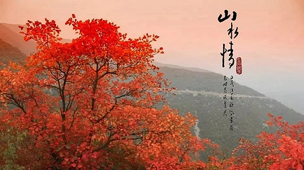 郑国渠旅游风景区第 47 张图片