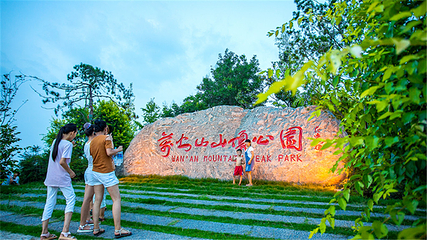 万安山山顶公园第 37 张图片