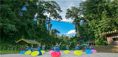 西双版纳热带雨林国家公园望天树景区第 70 张图片