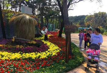跑马岭生态休闲度假区第 18 张图片
