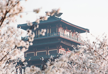 古柏渡飞黄旅游区第 54 张图片