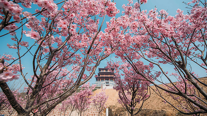 古柏渡飞黄旅游区第 30 张图片