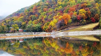 亚布力锅盔山休闲景区第 29 张图片