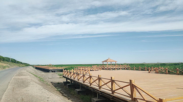 丝绸之路莎车国家湿地公园