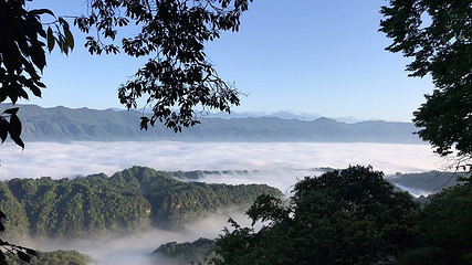 蒙顶山第 127 张图片