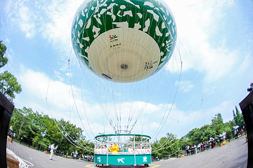 西溪空中揽胜氦气球第 9 张图片