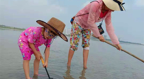 红树林西门赶海