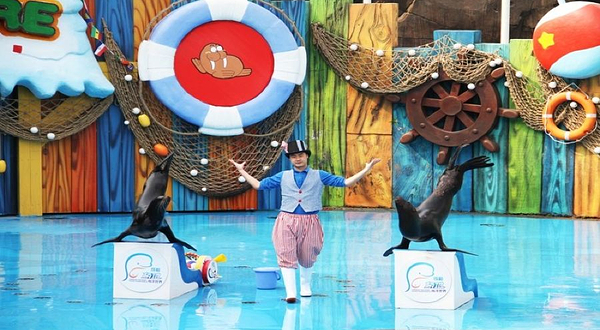 成都极地海洋公园-海狮馆