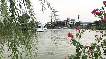 东江印象特色农业园第 28 张图片