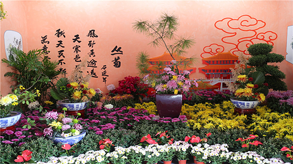 清明上河园第 38 张图片