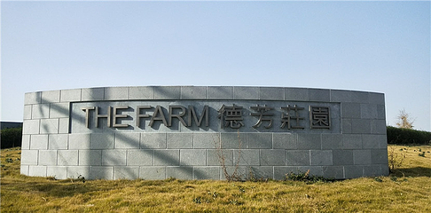 德芳有机农场第 3 张图片