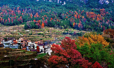 千峡湖生态旅游度假区第 32 张图片