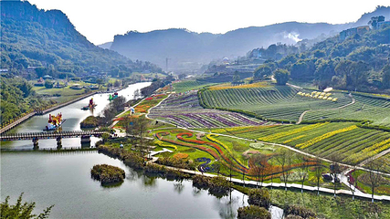 清溪谷旅游区-花田酒地景区第 6 张图片