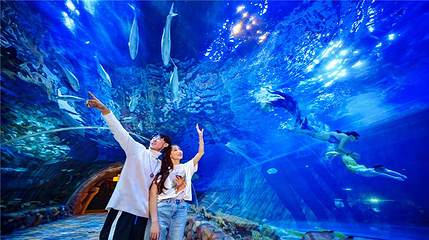 华夏文旅海洋公园第 11 张图片