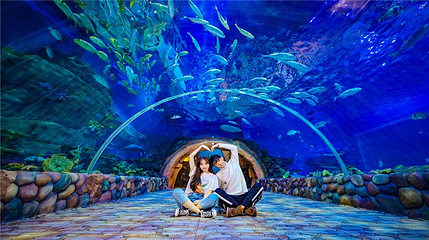 华夏文旅海洋公园第 20 张图片
