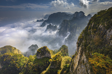 王莽岭风景区第 17 张图片
