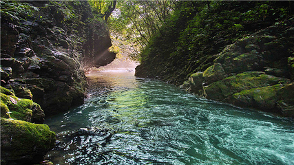 巴山大峡谷第 46 张图片