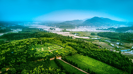 万亩茶园·茶园里梦想小镇第 35 张图片