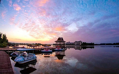 泗洪洪泽湖湿地景区第 31 张图片