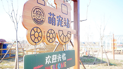 龙湾海上田园第 55 张图片