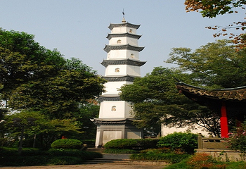 桐君山第 14 张图片