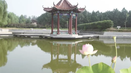 茶山牧场第 1 张图片