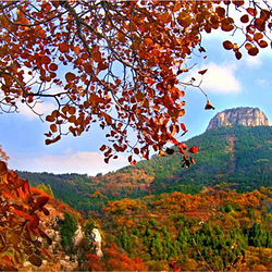 抱犊崮国家森林公园