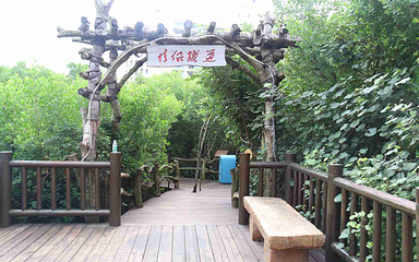 富力红树湾湿地公园第 56 张图片
