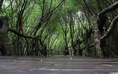 富力红树湾湿地公园第 78 张图片