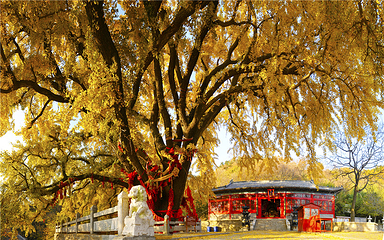 威海圣水观第 9 张图片