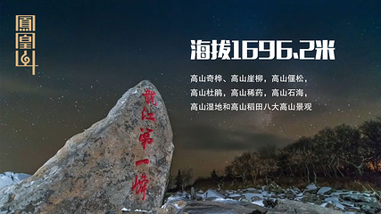 凤凰山国家森林公园第 47 张图片