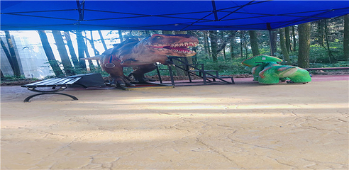 宜丰青沐山恐龙乐园第 18 张图片