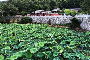抱朴谷第 8 张图片