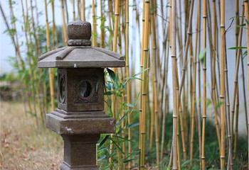 冯梦龙村第 33 张图片