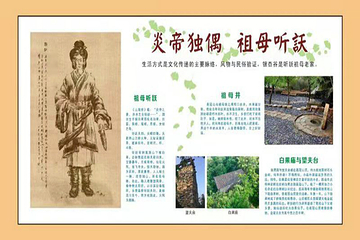 千年银杏谷文化旅游区第 37 张图片