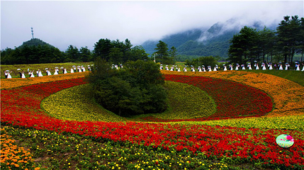 红池坝风景区第 18 张图片