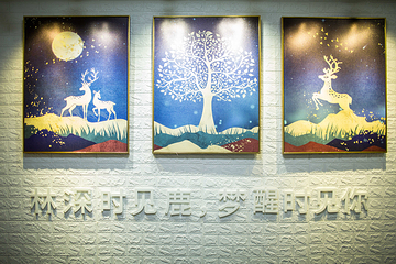 海口5D星空艺术馆第 34 张图片