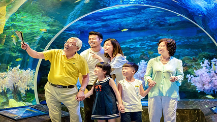 海合安成都极地海洋公园第 65 张图片
