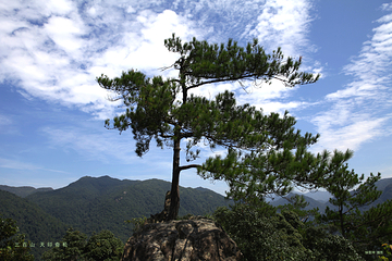 三百山景区第 69 张图片